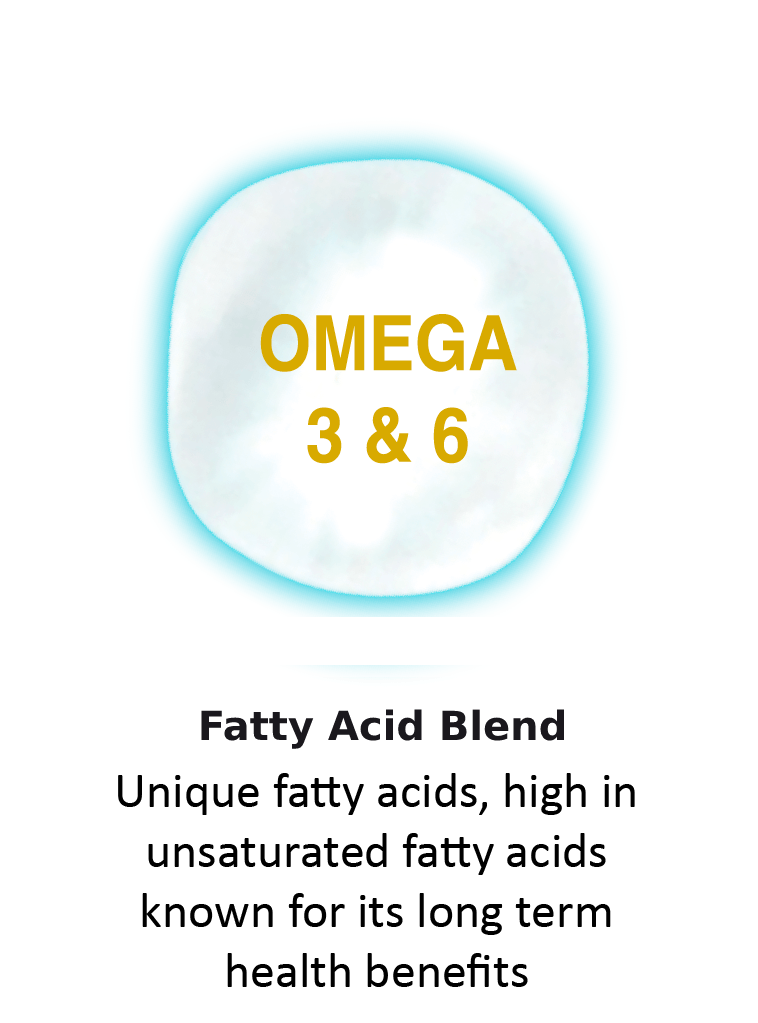 Omega 3 & 6